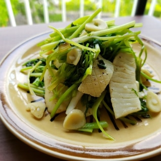 【独居自炊】パクチーと冷凍イカのごま油炒め